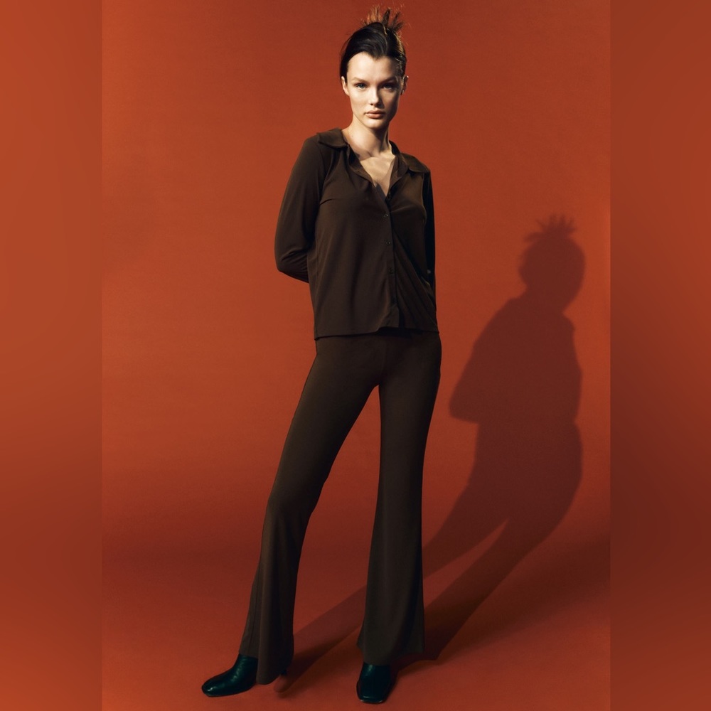 Zara Brown Flowy Pants